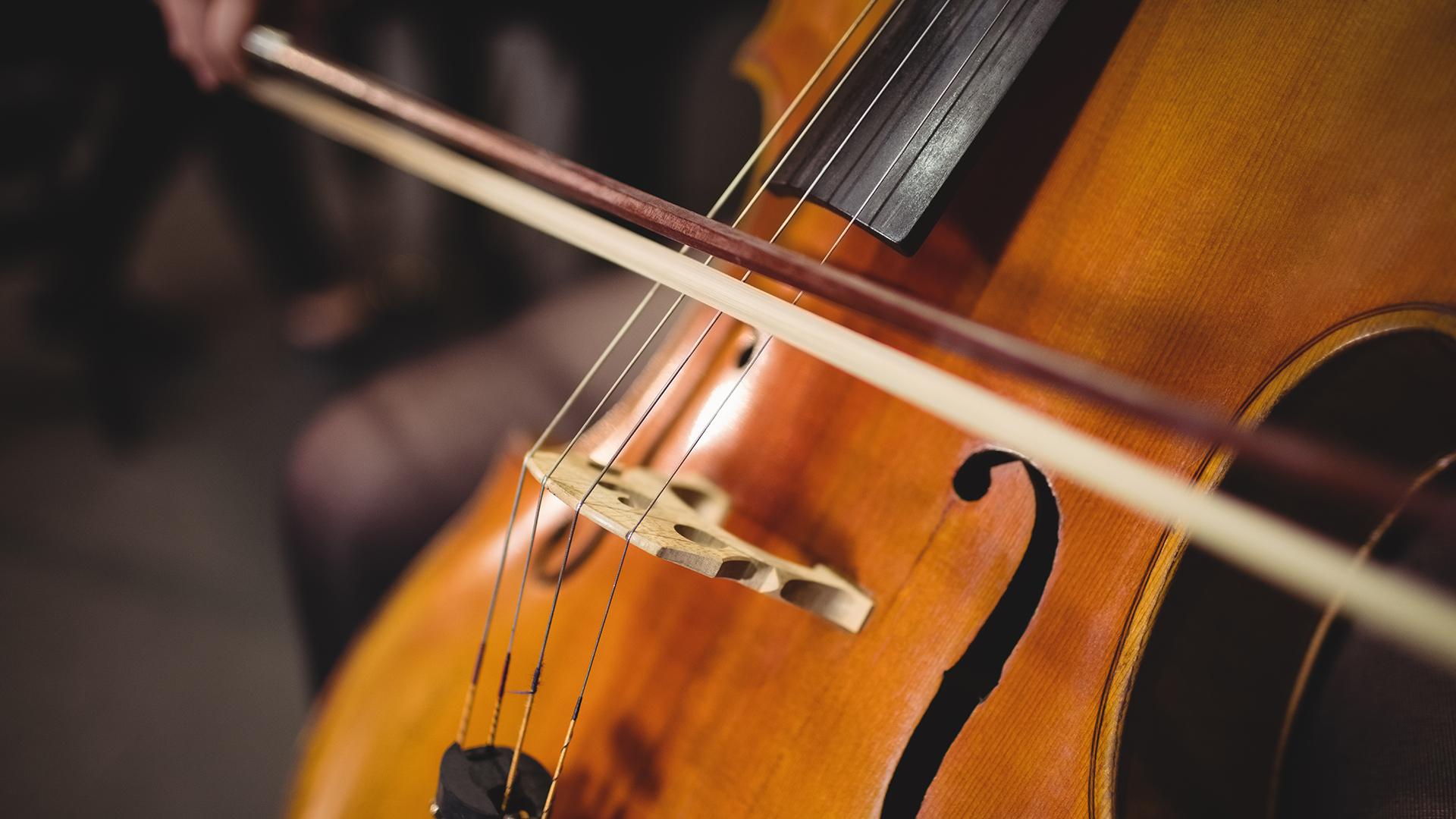 Фото: freepik.com/wavebreakmedia_micro