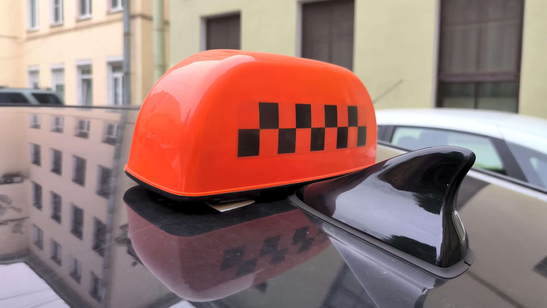 Фото: Maksim Konstantinov/globallookpress.com