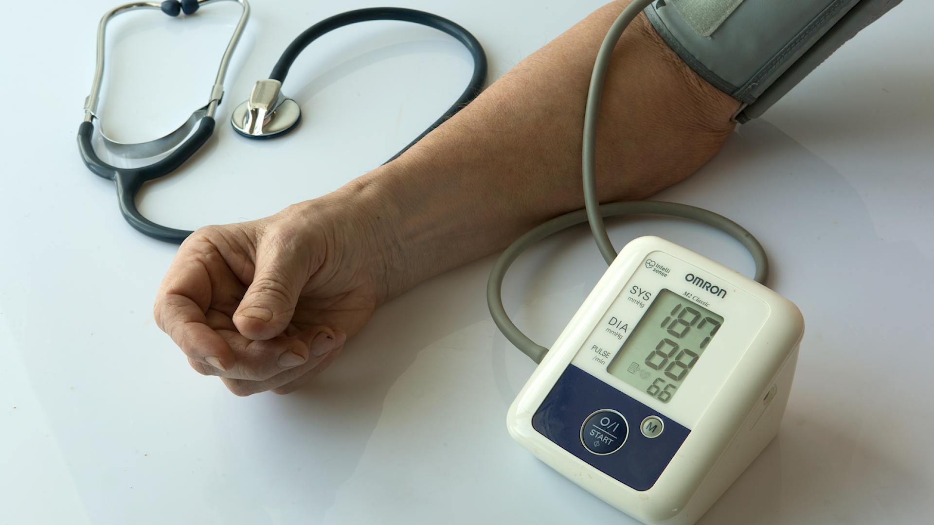 Фото: Nikolay Gyngazov/globallookpress.com