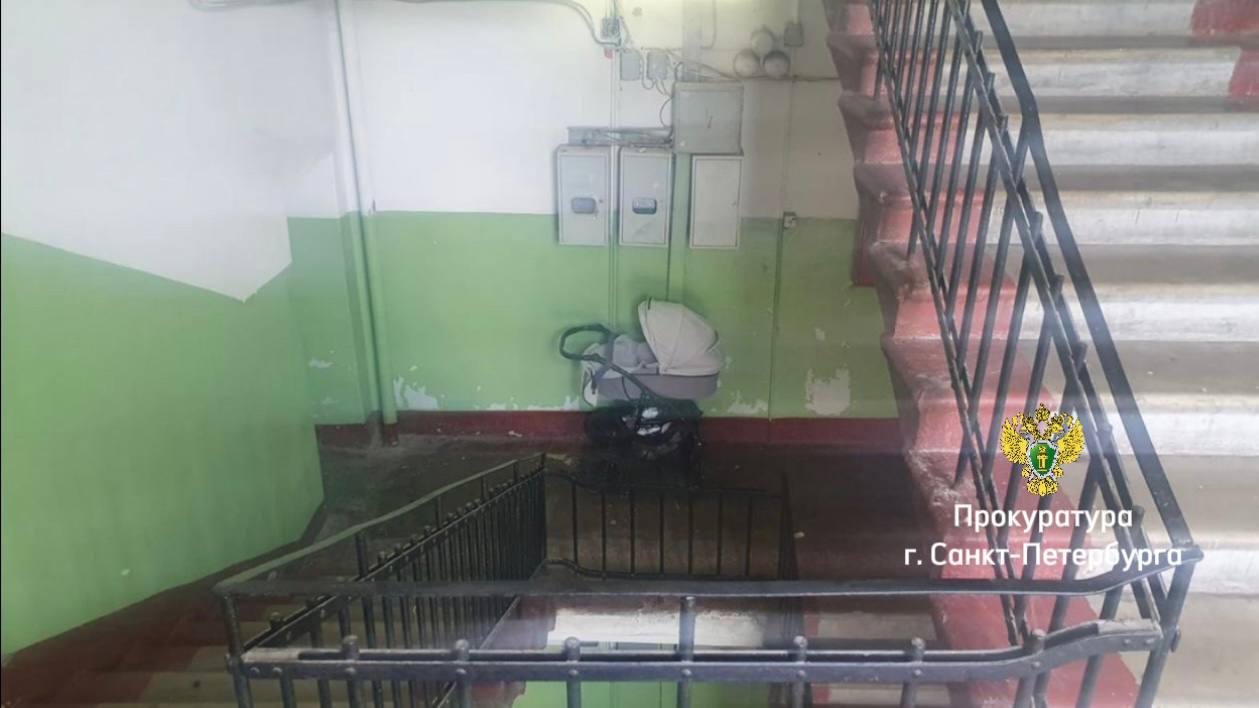 Фото: t.me/procspb