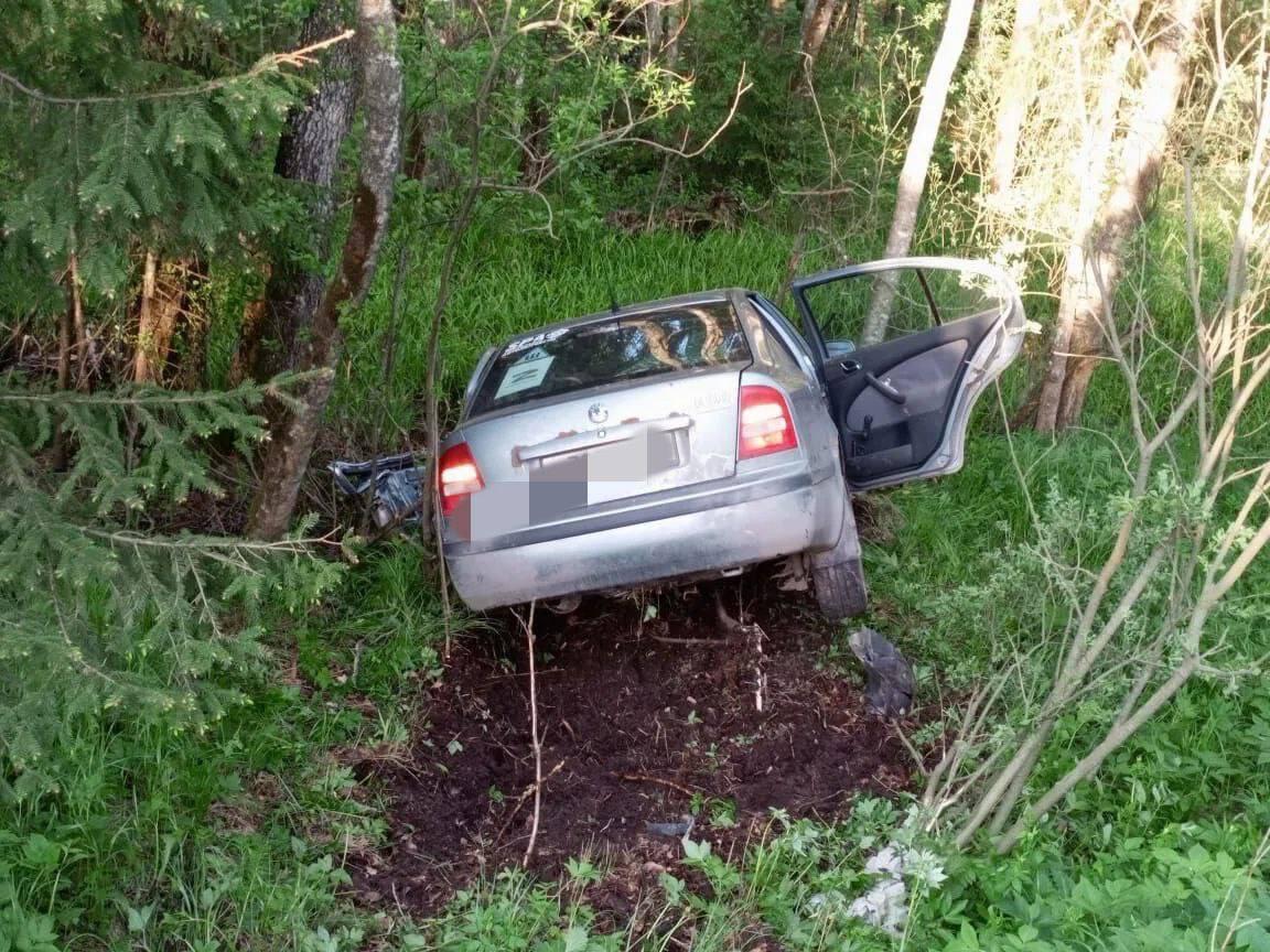 Фото: t.me/dlenobl