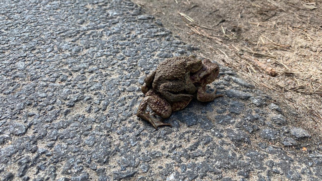 Фото: vk.com/infoeco_spb