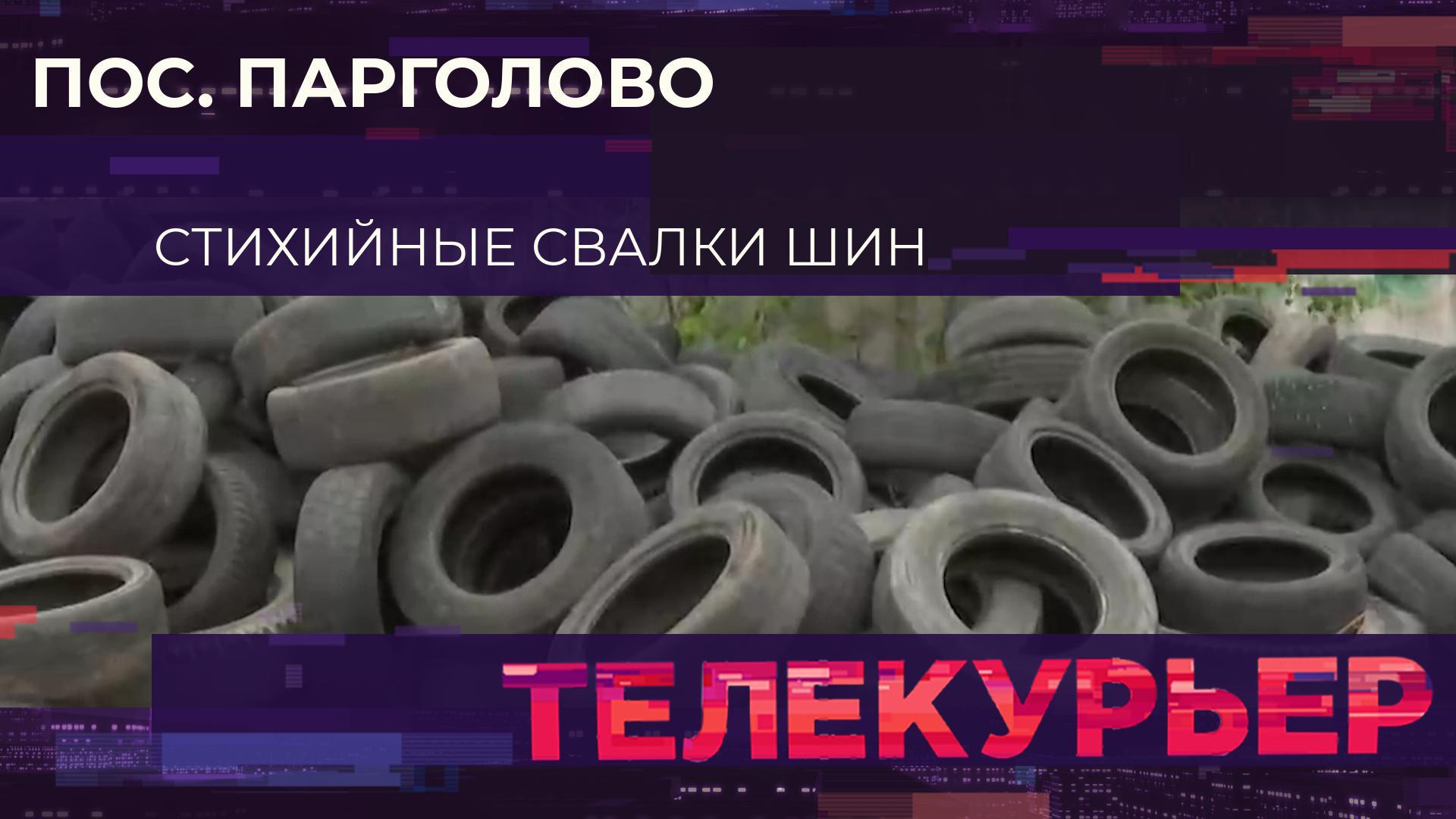 «Телекурьер» (29 мая 2025)