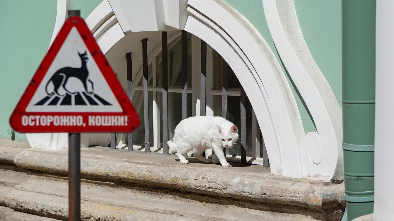Фото: пресс-служба Государственного Эрмитажа