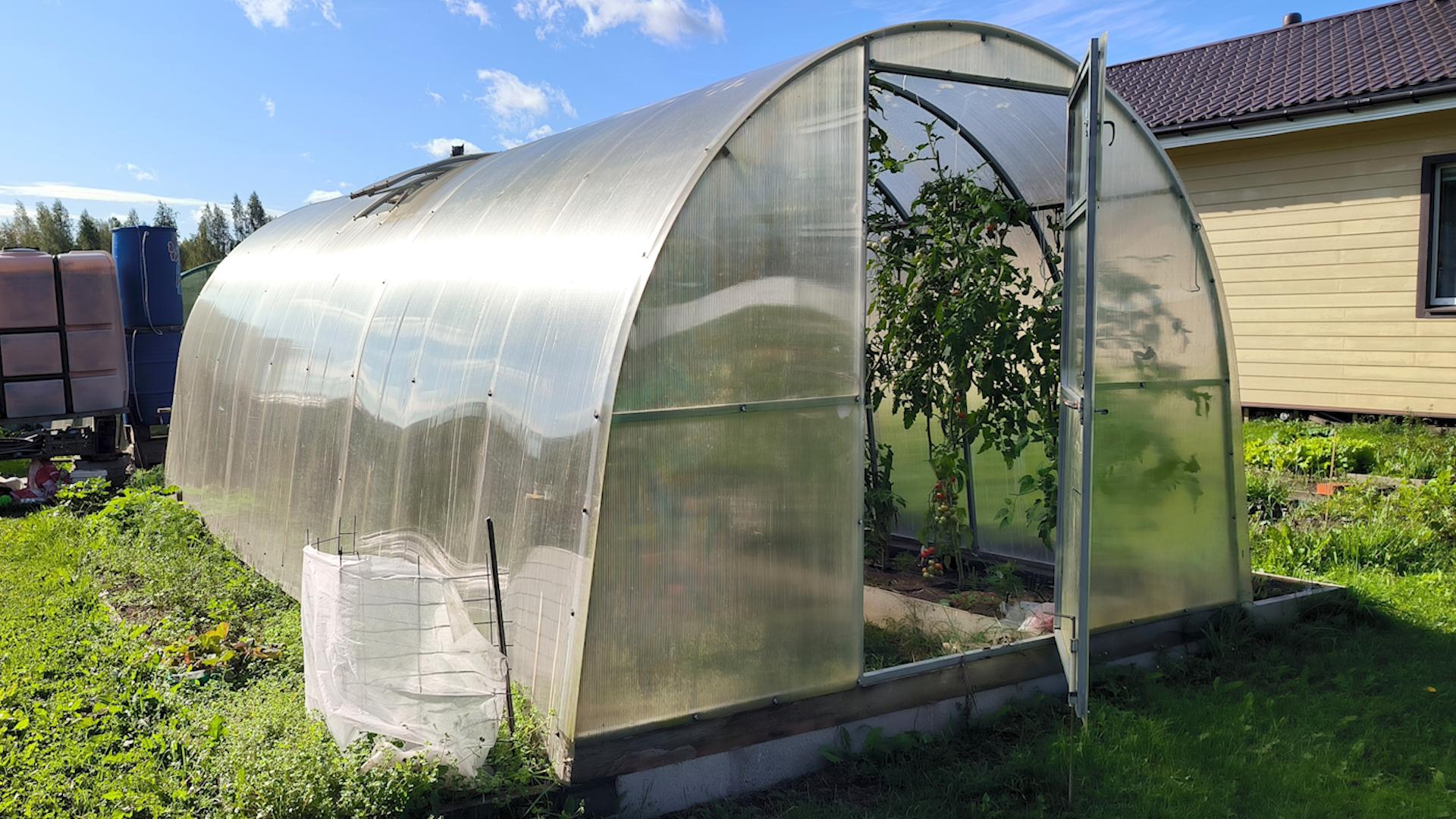 Фото: Maksim Konstantinov/globallookpress.com