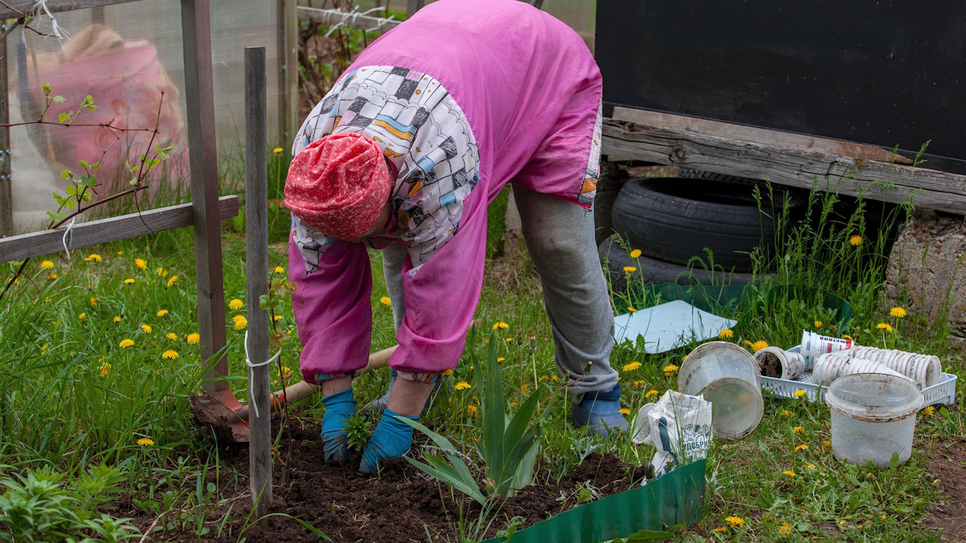 Фото: Oksana Korol/globallookpress.com