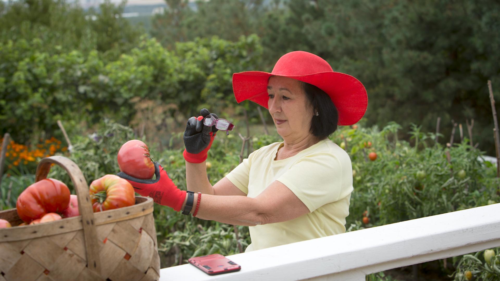 Фото: Nikolay Gyngazov/globallookpress.com