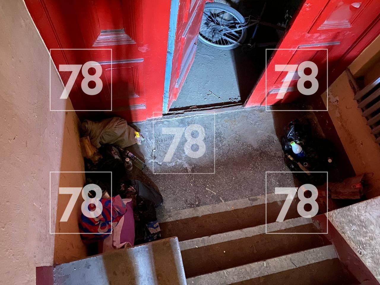 Фото: 78.ru