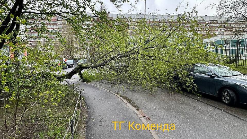 Фото: t.me/Komenda24