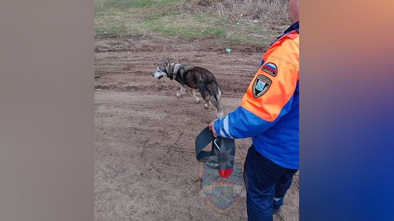 Фото: vk.com/acclo