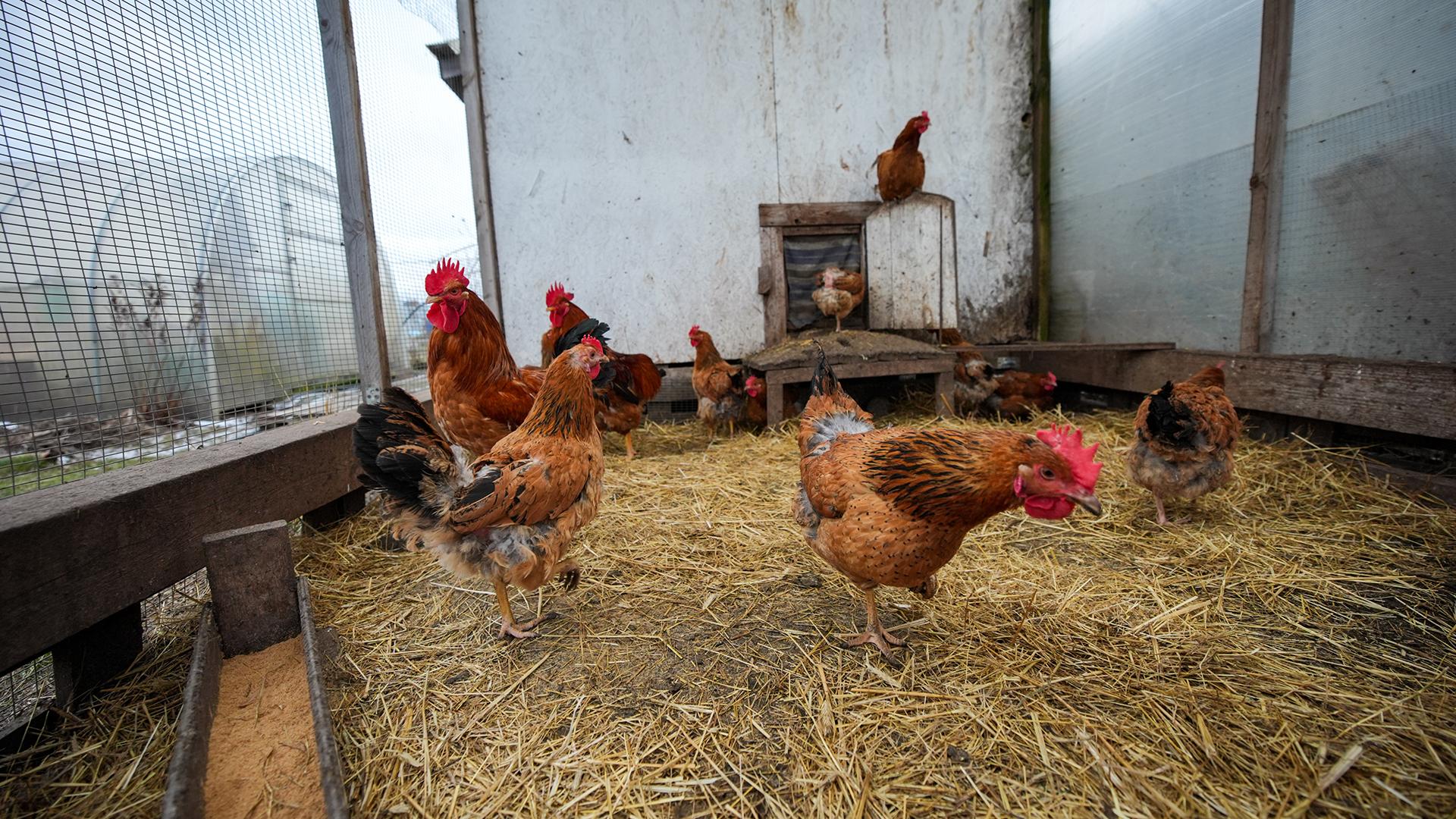 Фото: ИЗВЕСТИЯ/Сергей Лантюхов