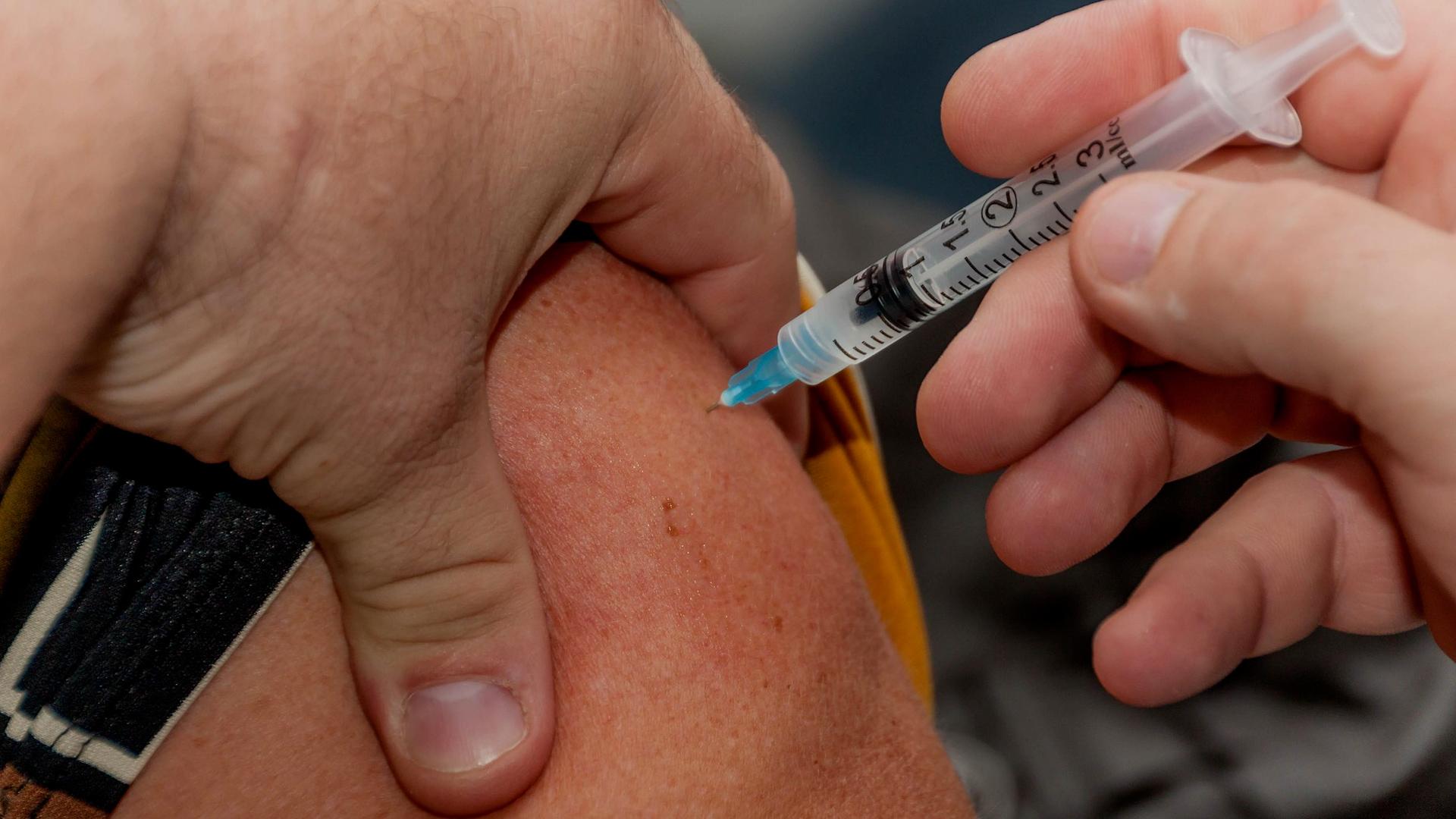 Фото: pixabay.com