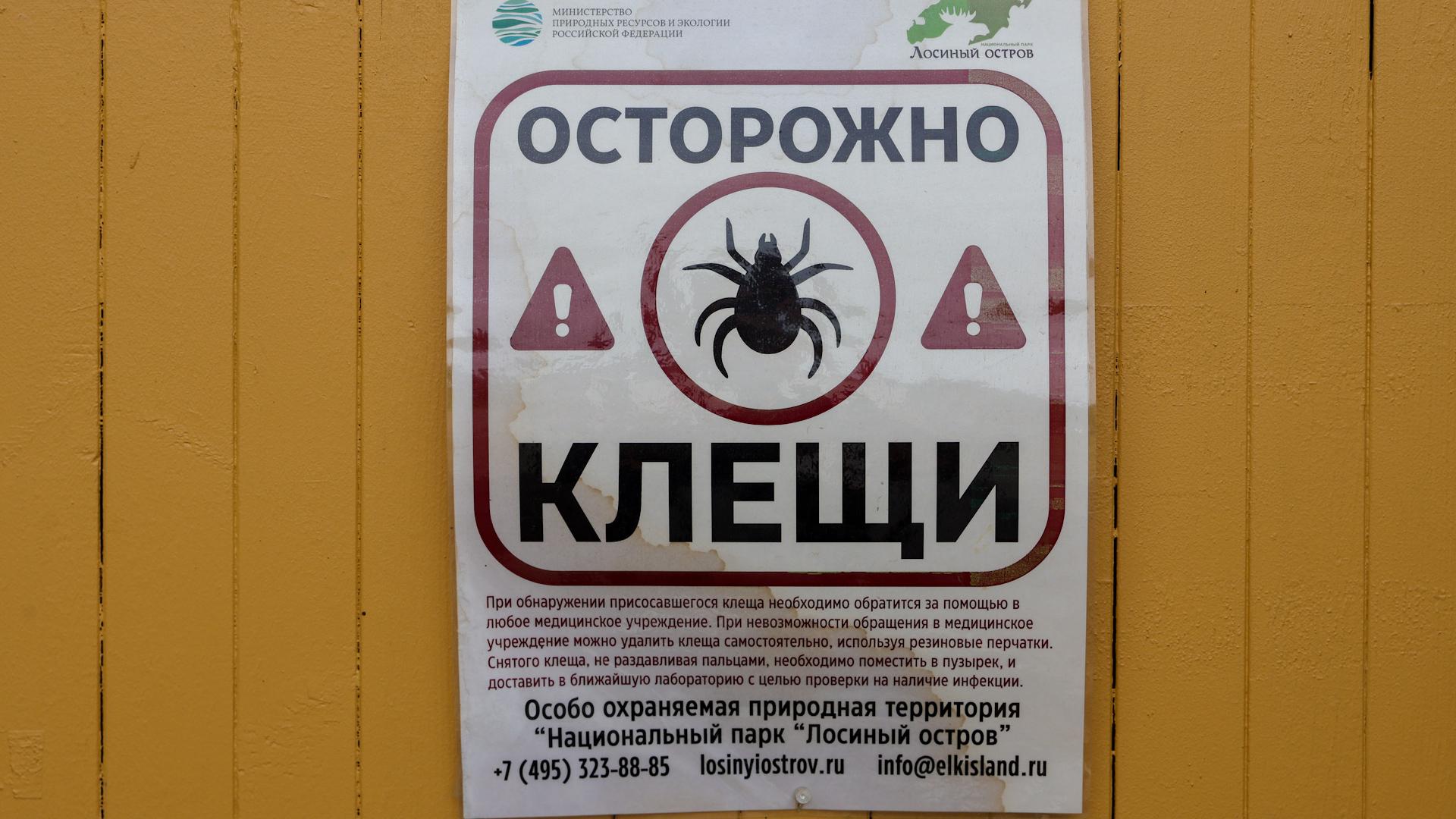 Фото: Shatokhina Natalia/news.ru/globallookpress.com