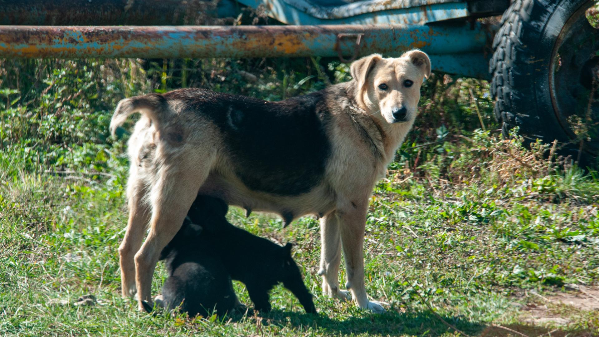 Фото: Svetlana Vozmilova/globallookpress.com