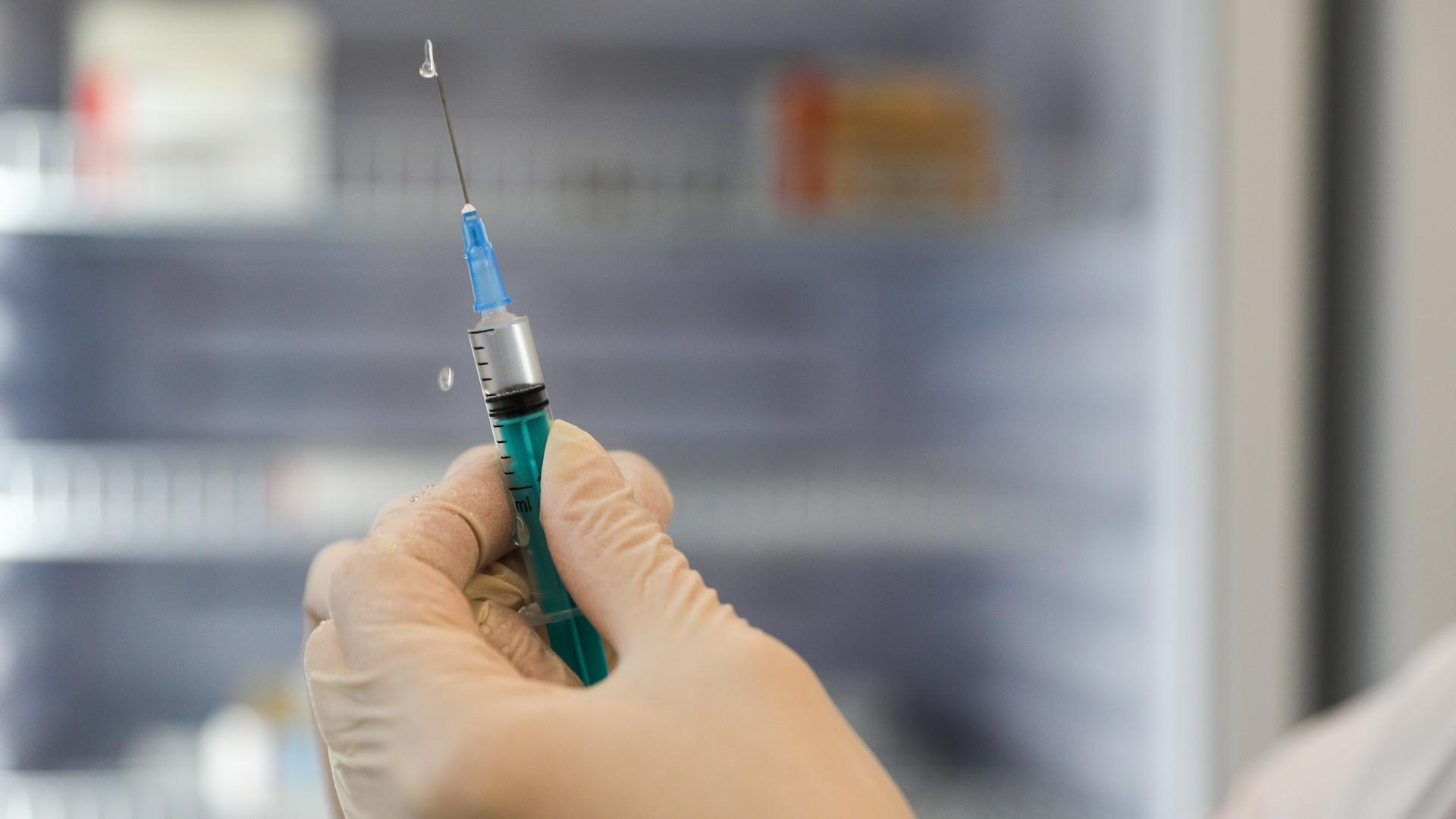 Фото: Bulkin Sergey/news.ru/globallookpress.com