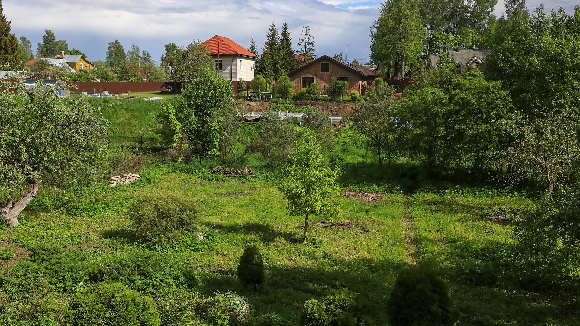 Фото: ИЗВЕСТИЯ/Сергей Коньков