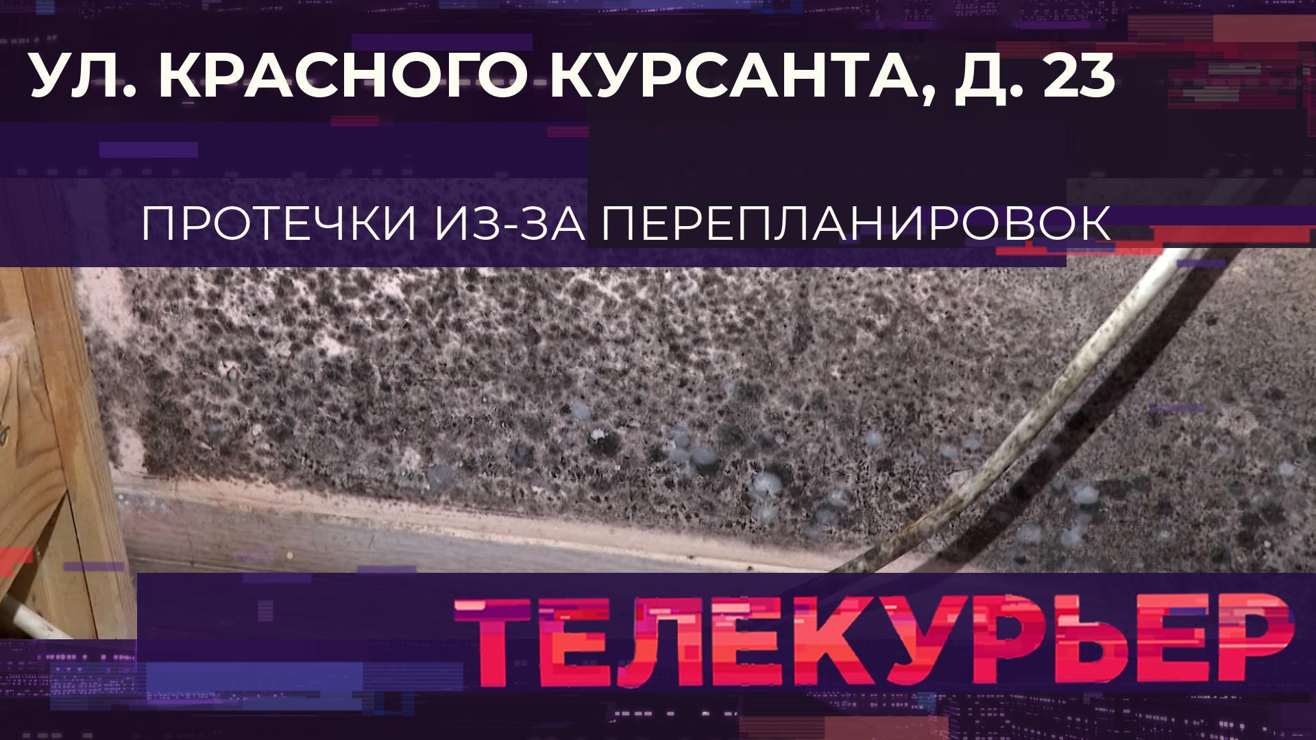 «Телекурьер» (19 июня 2025)