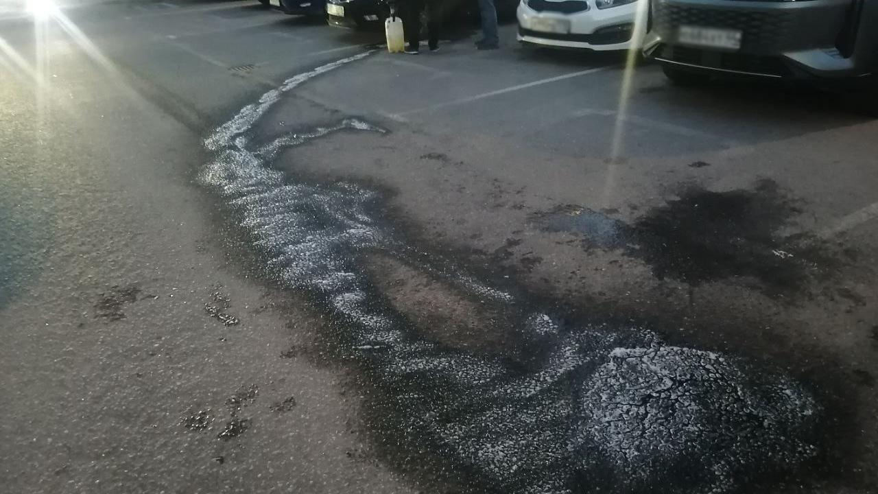 Фото: пресс-служба комитета по природопользованию, охране окружающей среды и обеспечению экологической безопасности