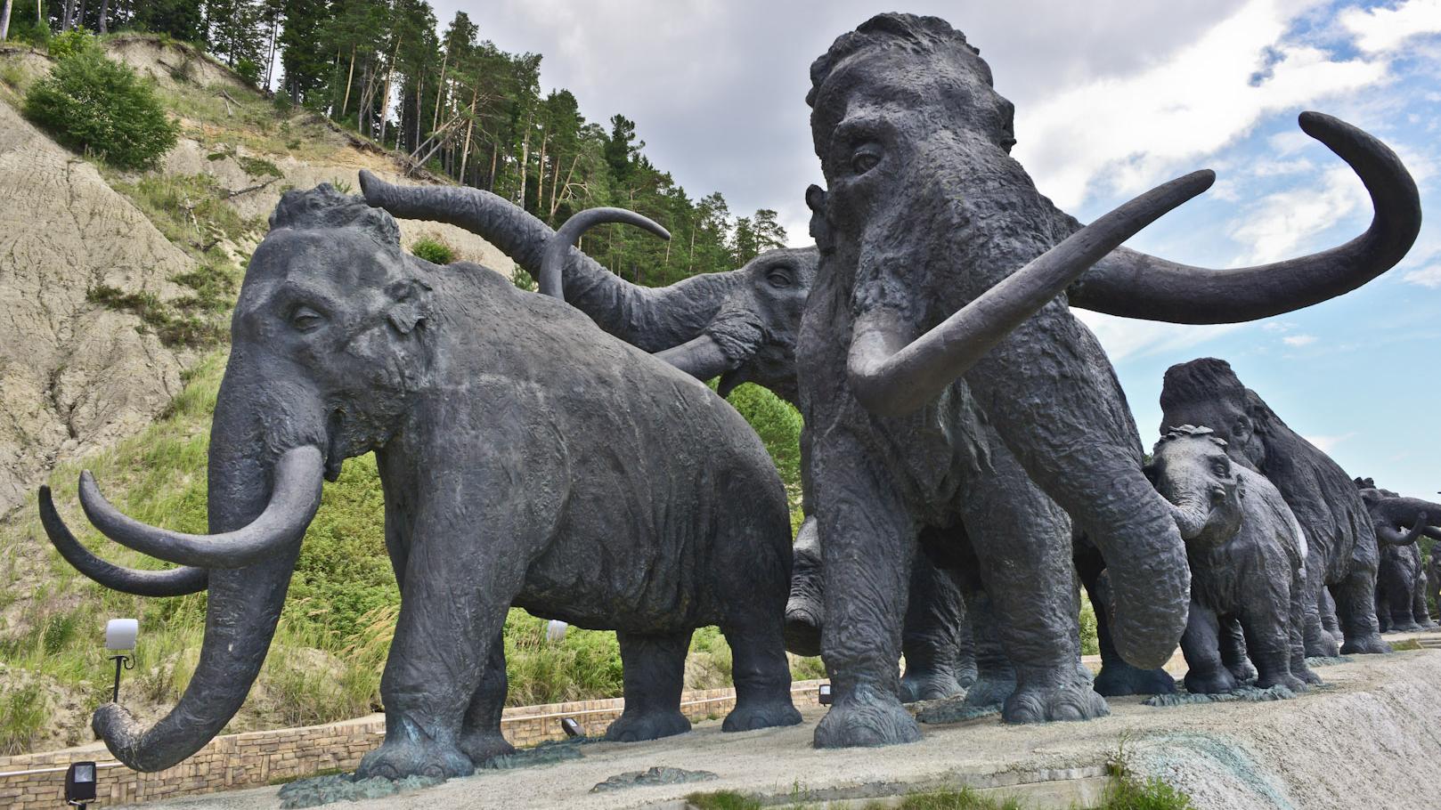 Фото: wikipedia.org/Packtrif; CC BY-SA 4.0