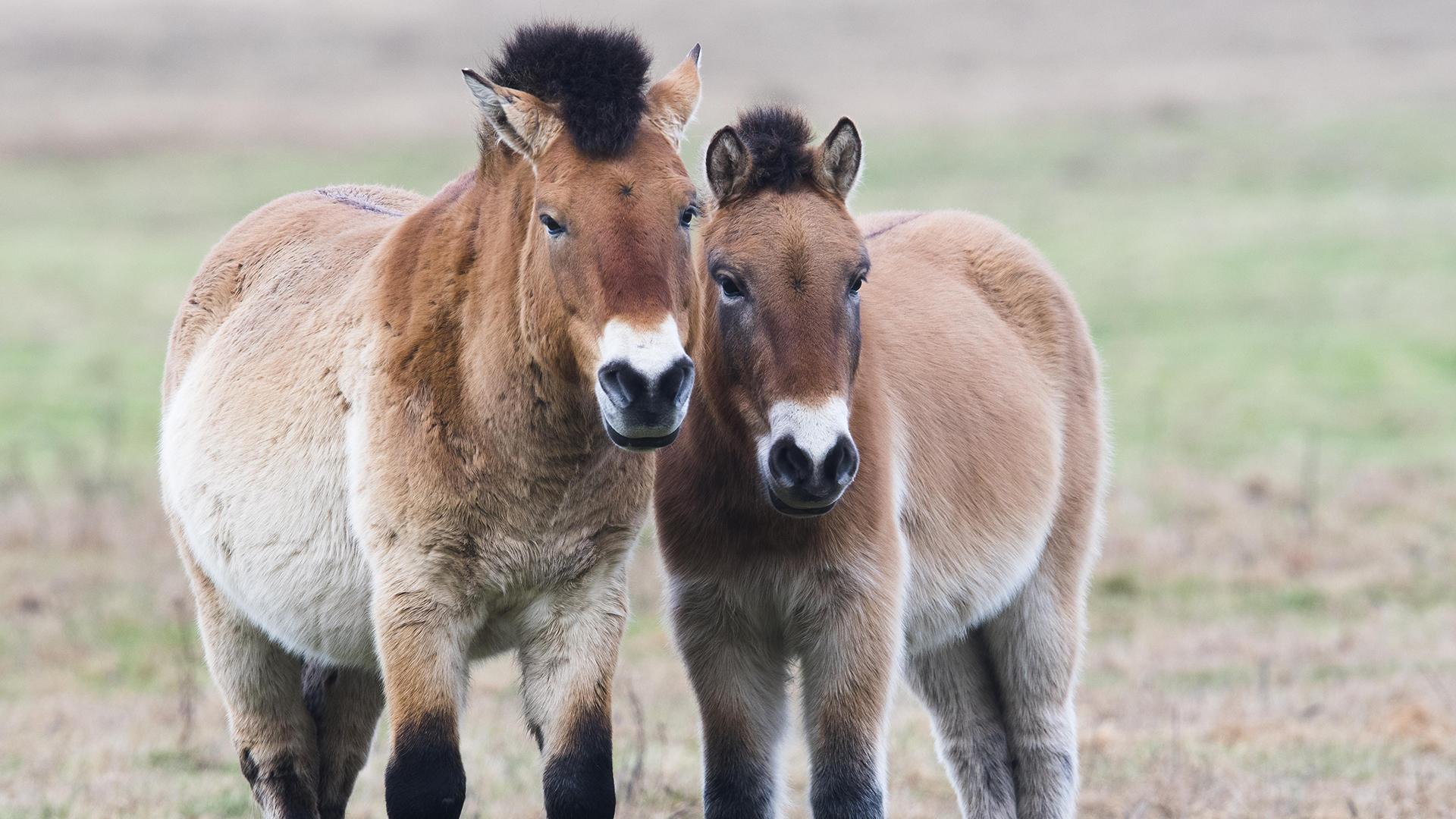 Фото: Erhard Nerger/globallookpress.com