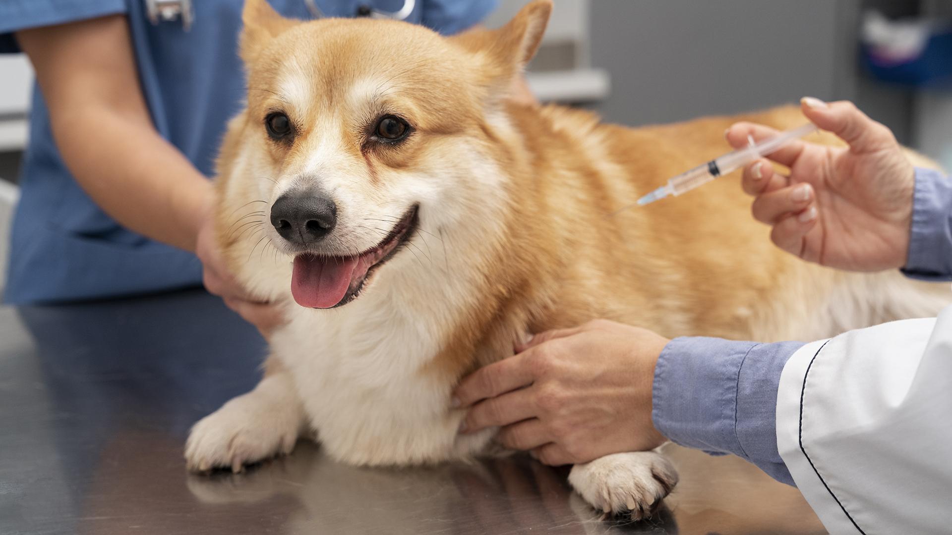 Фото: freepik.com