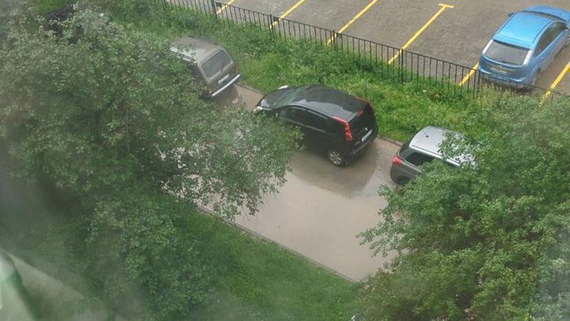 Фото: vk.com/Новости Купчино