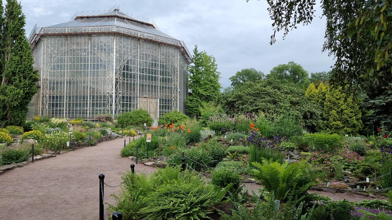 Фото: vk.com/botsad_spb/Ekaterina Agalakova