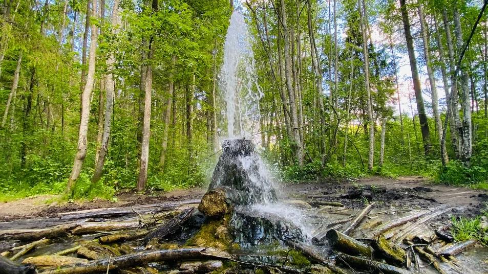 Фото: yandex.ru/maps/Анна