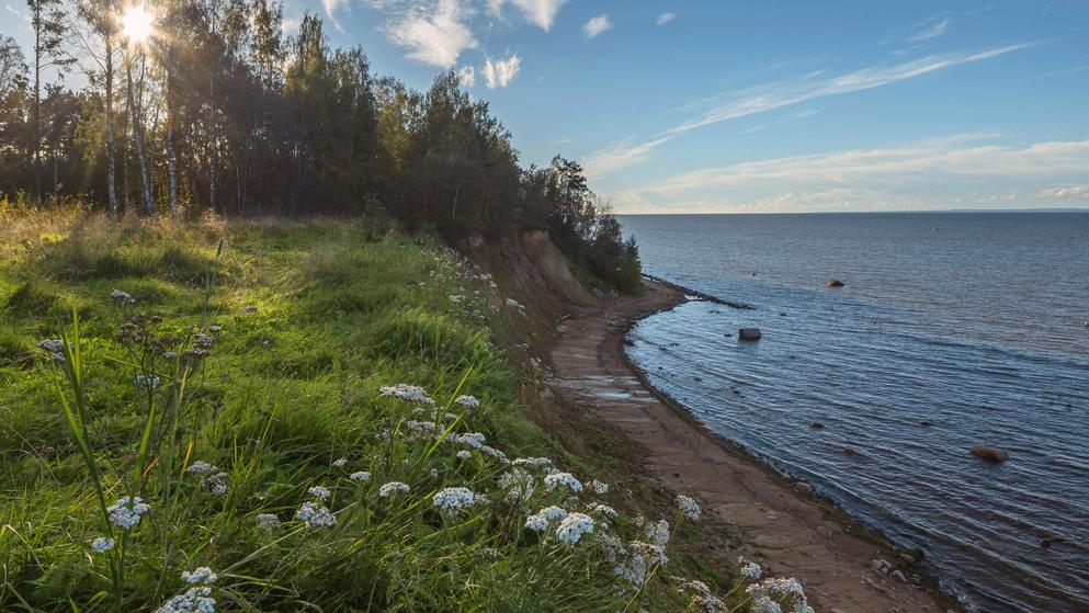 Фото: ooptlo.ru/Фёдор Лашков