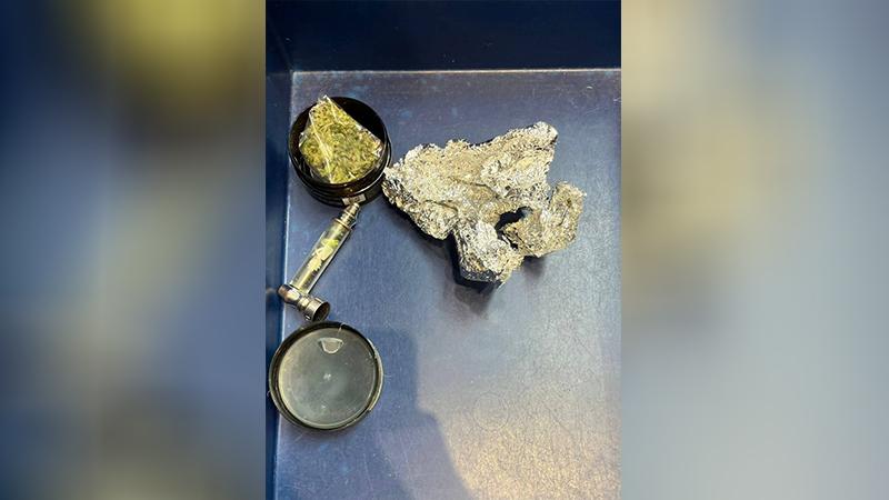 Фото: t.me/mvdszfo