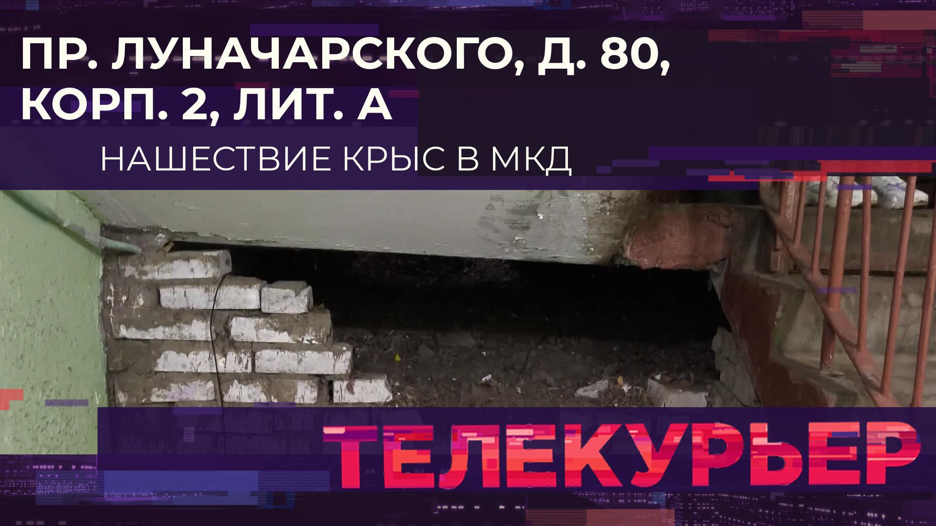 «Телекурьер» (25 июня 2025)