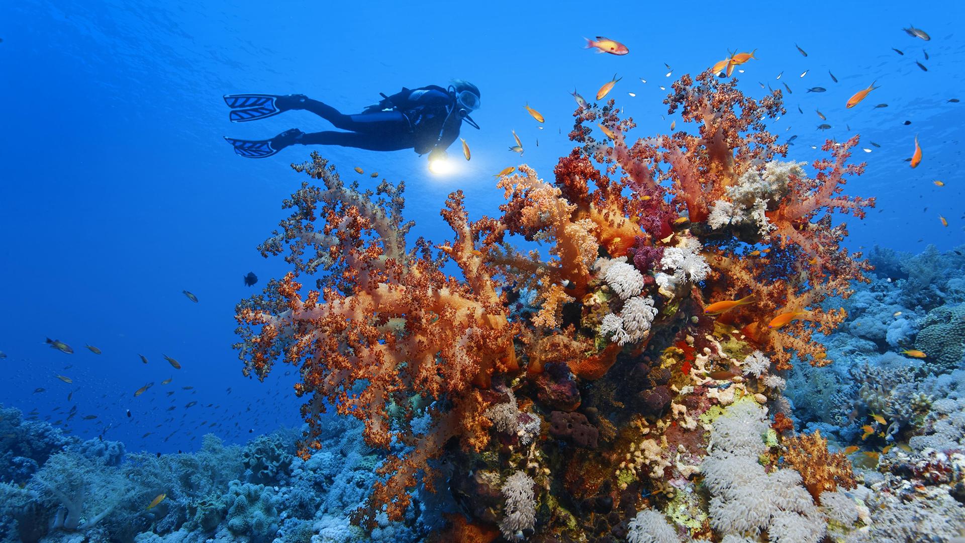 Фото: Norbert Probst/globallookpress.com