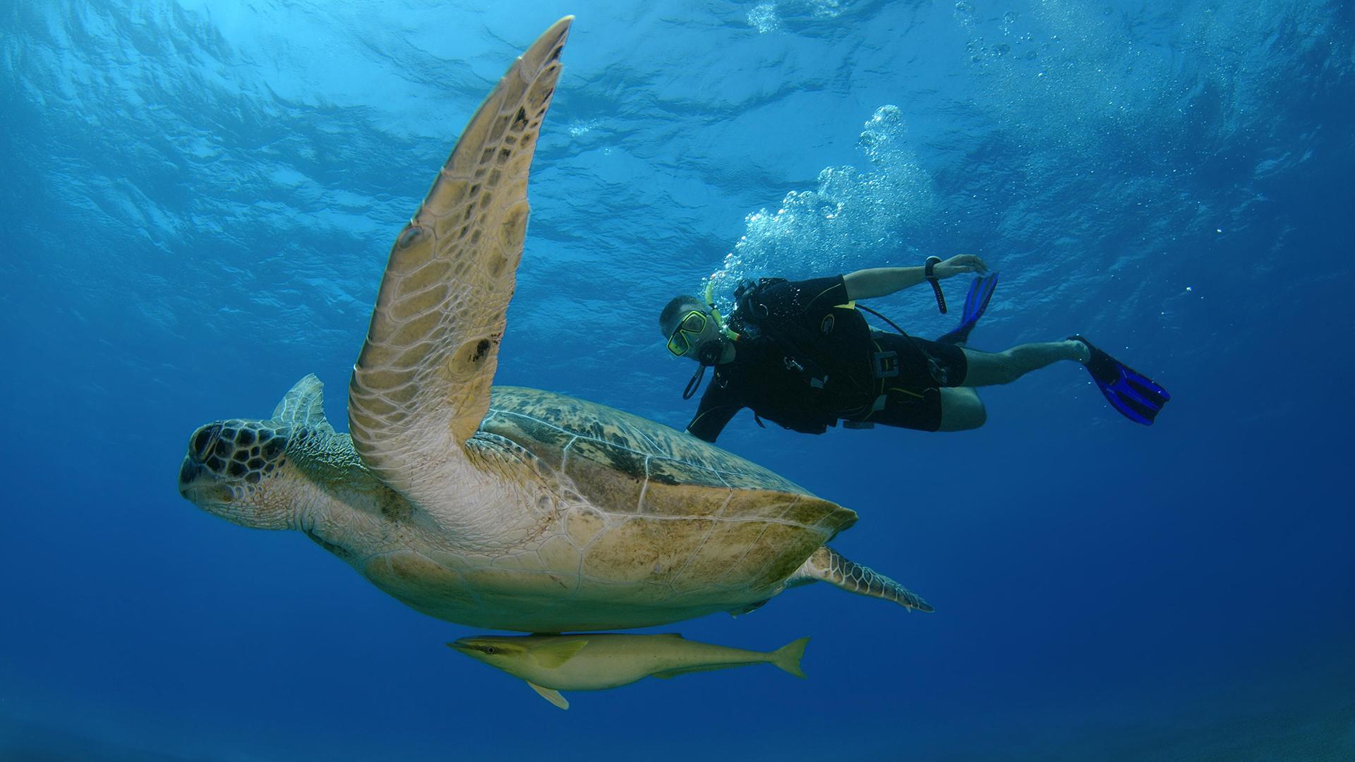 Фото: Andrey Nekrasov/globallookpress.com