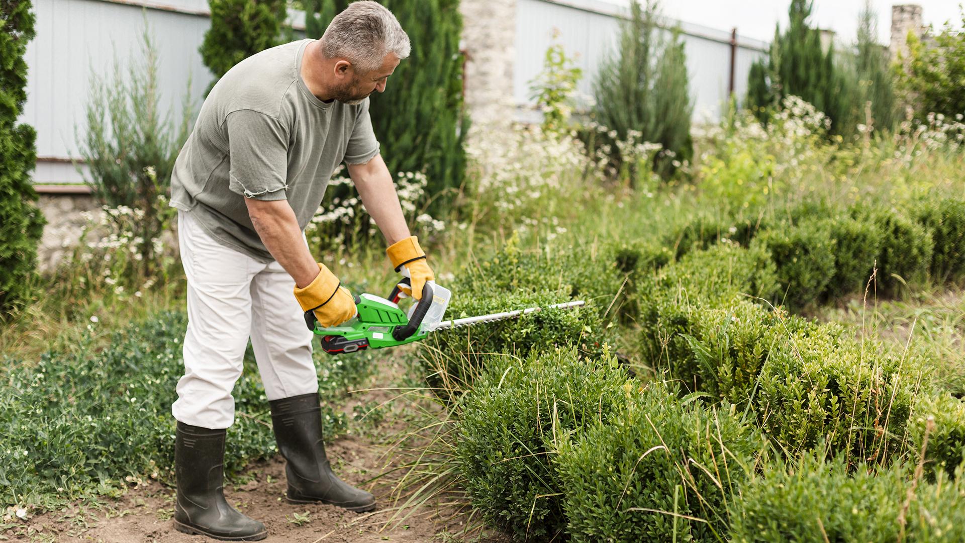 Фото: freepik.com