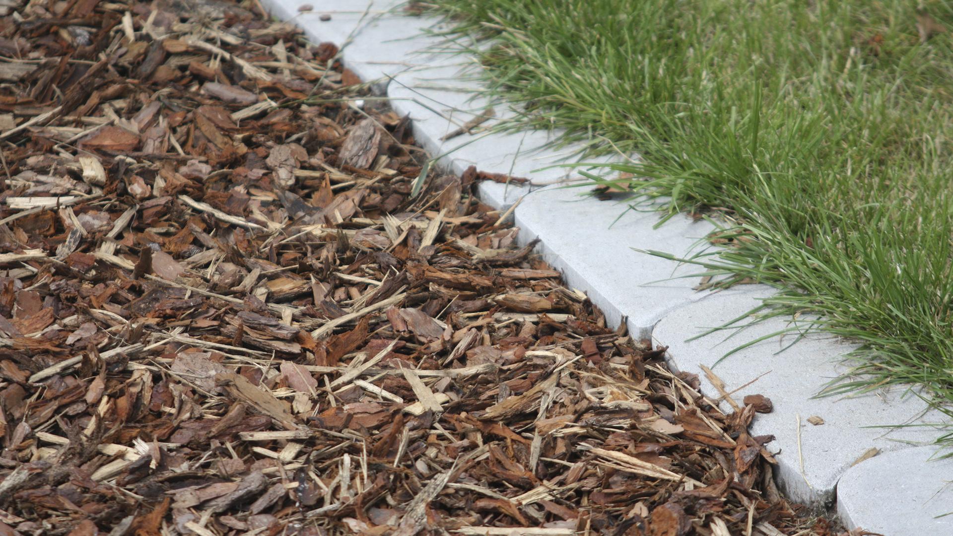 Фото: wikipedia.org/Apostoloff; GPL