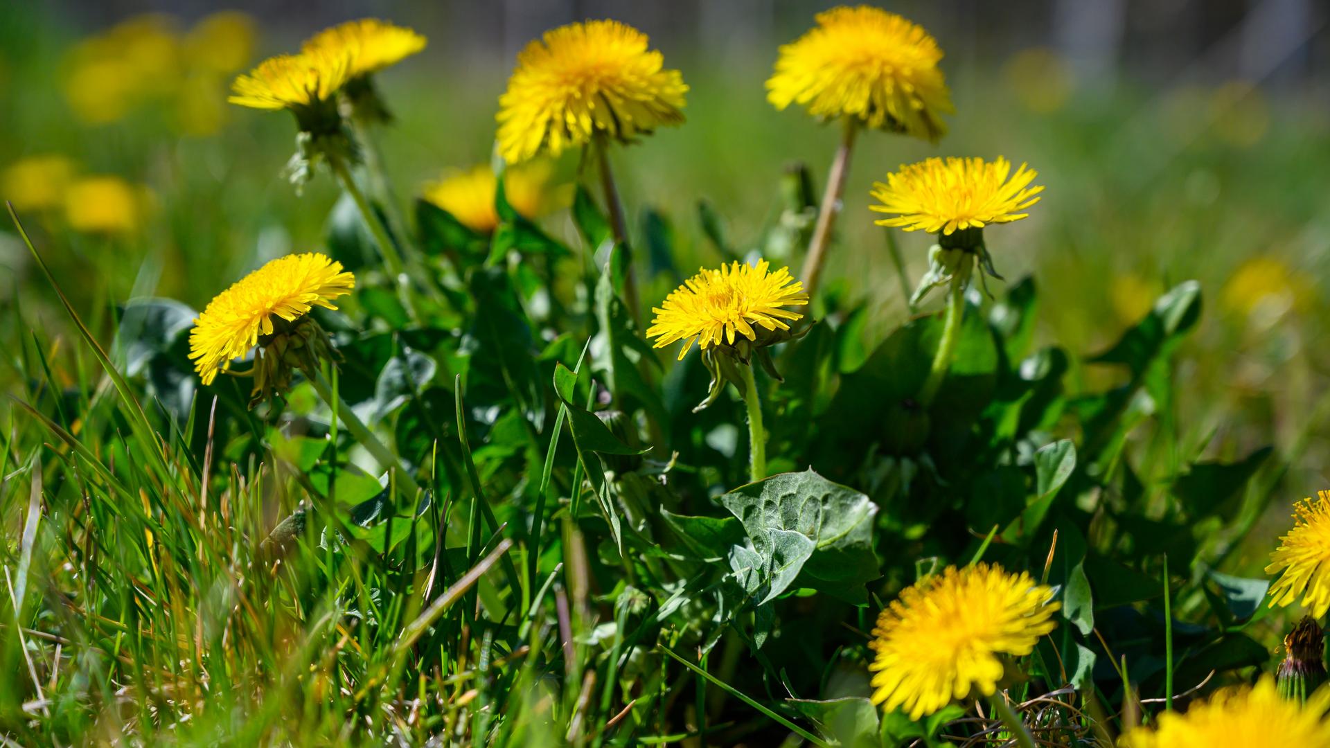 Фото: freepik.com/wirestock