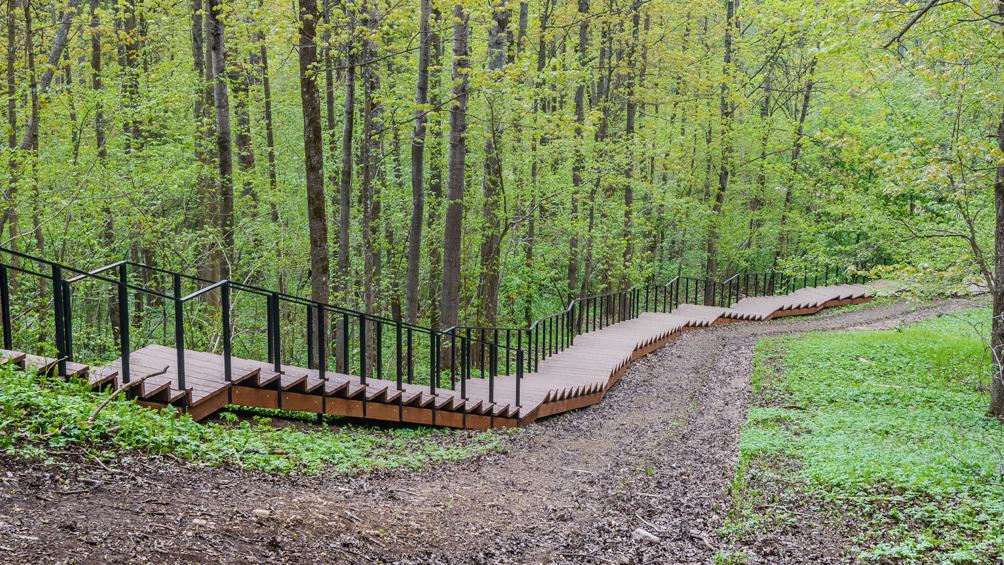 «Дудергофские высоты»/ Фото: oopt.spb.ru