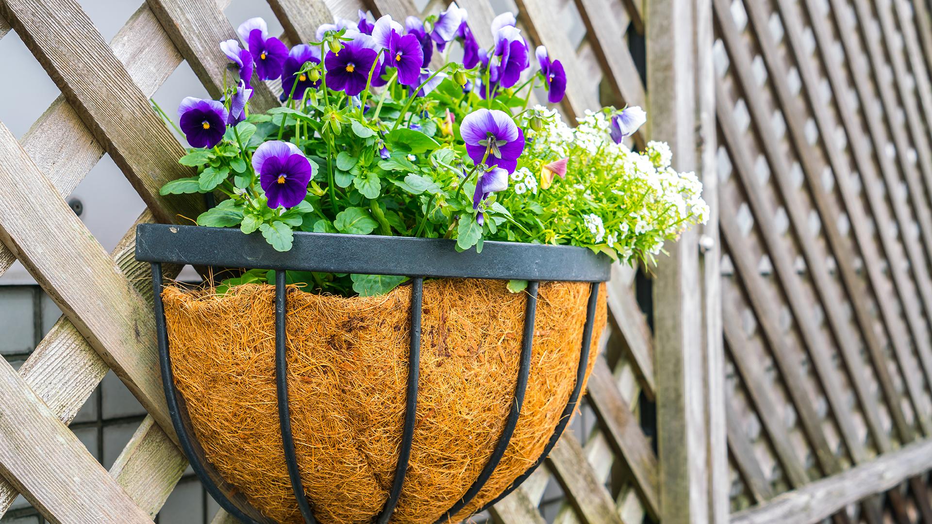 Фото: freepik.com/jannoon028