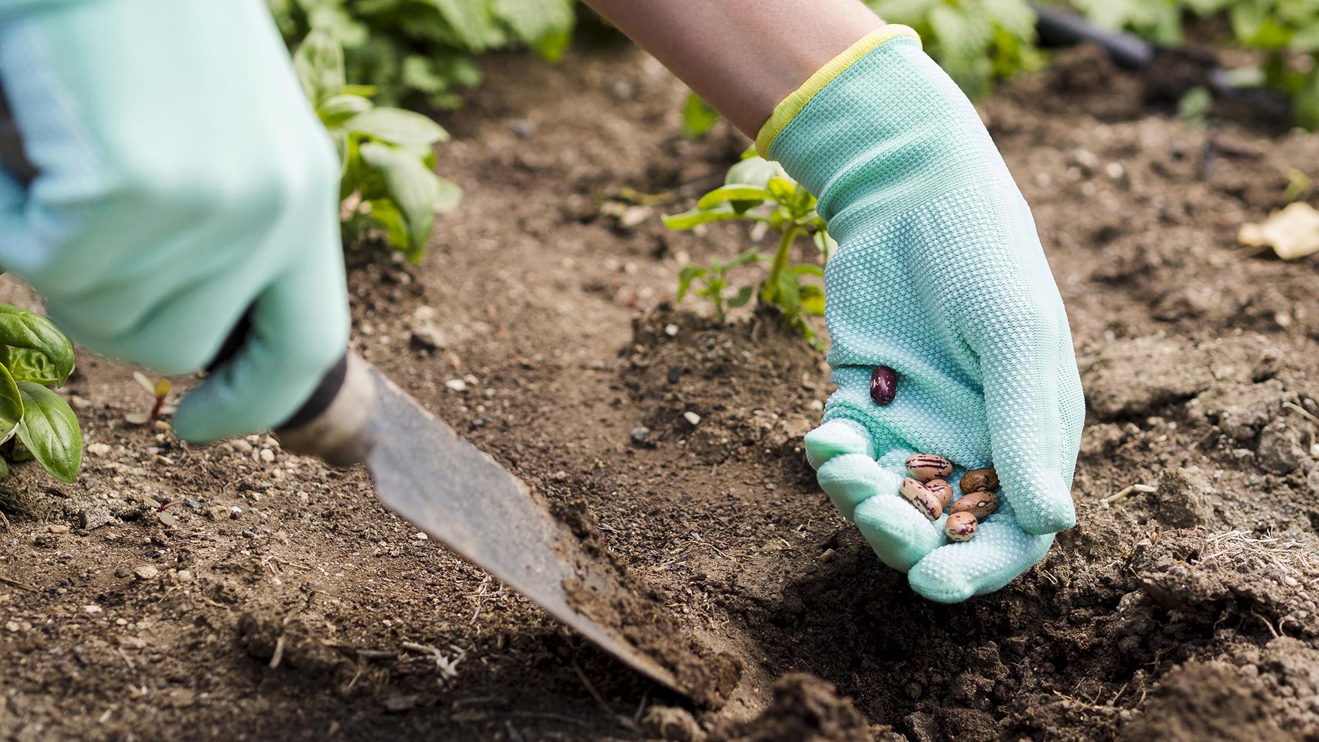 Фото: freepik.com