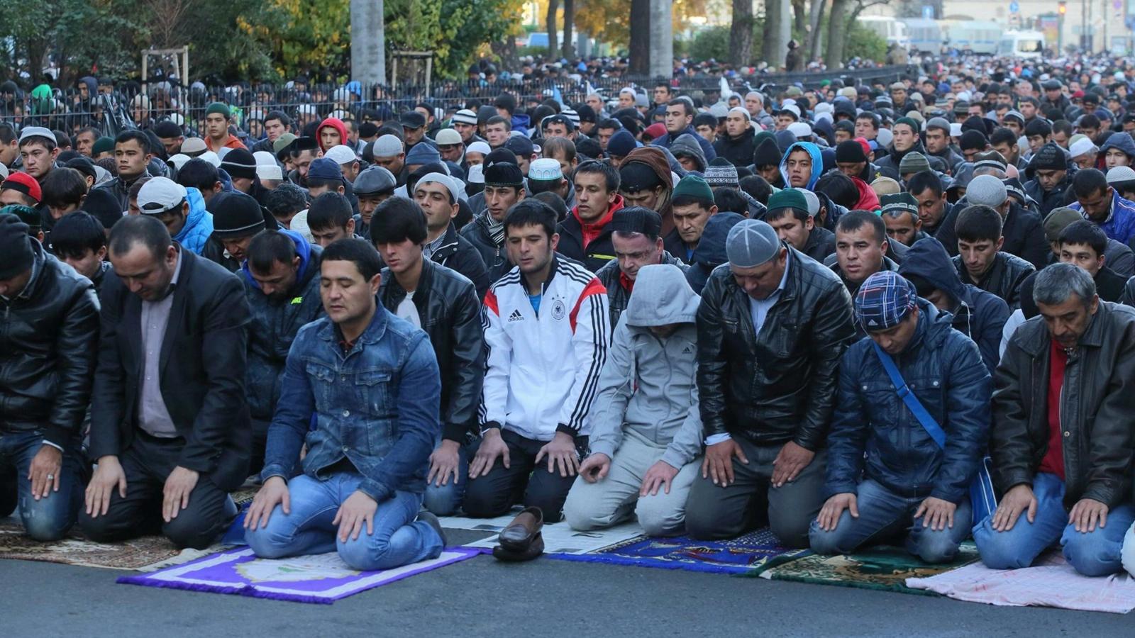 Фото: Zamir Usmanov/globallookpress.com