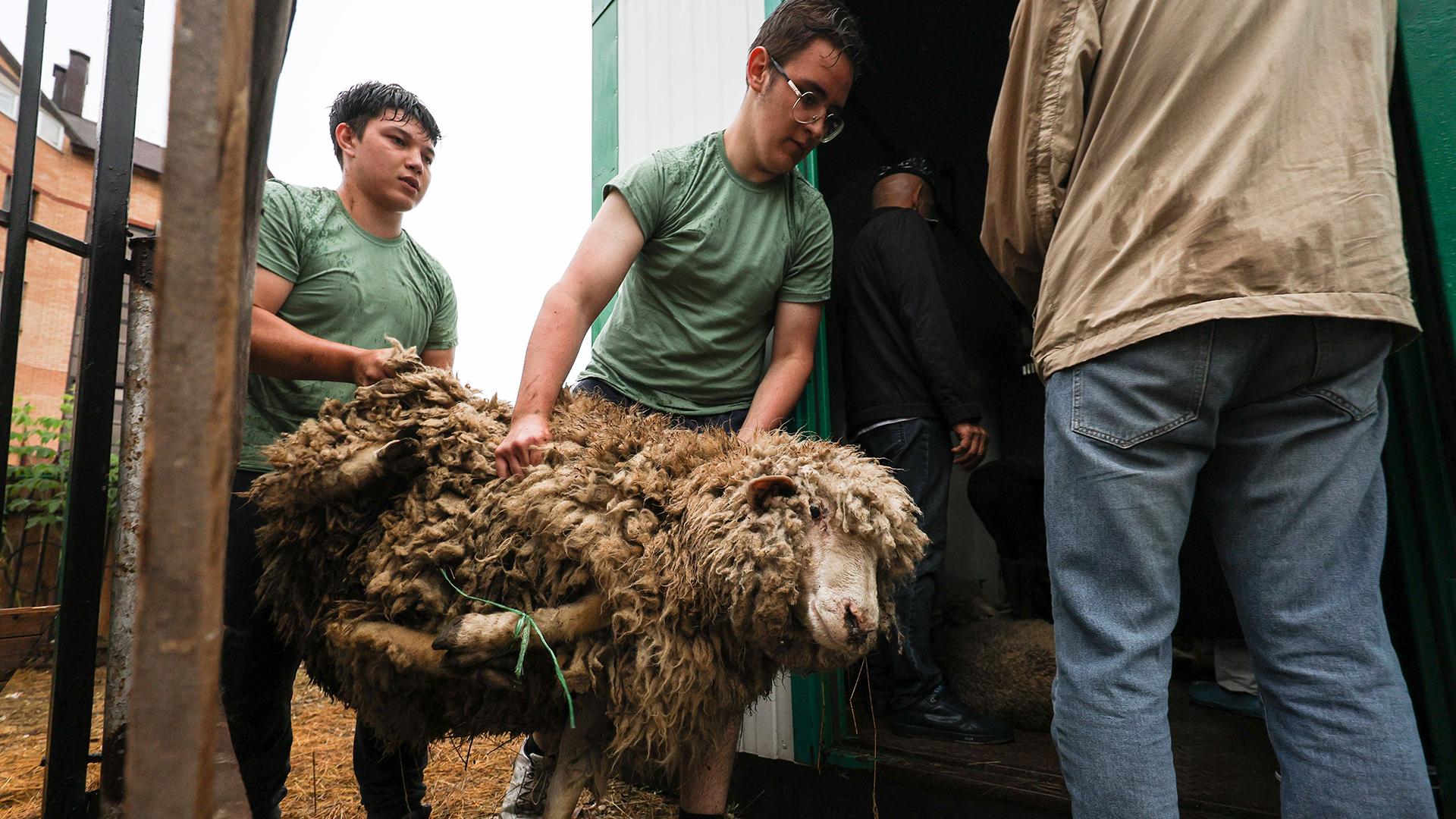 Фото: Andrey Titov/globallookpress.com