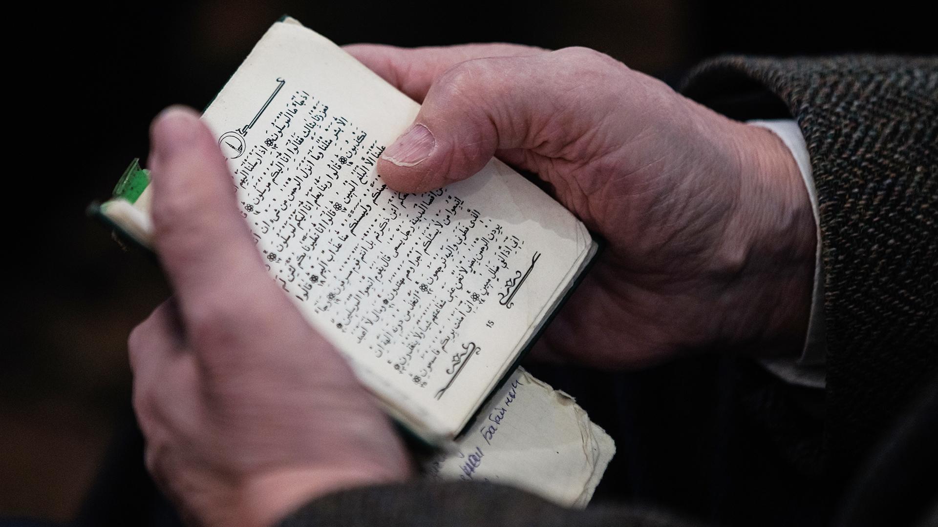 Фото: Sergey Elagin/globallookpress.com