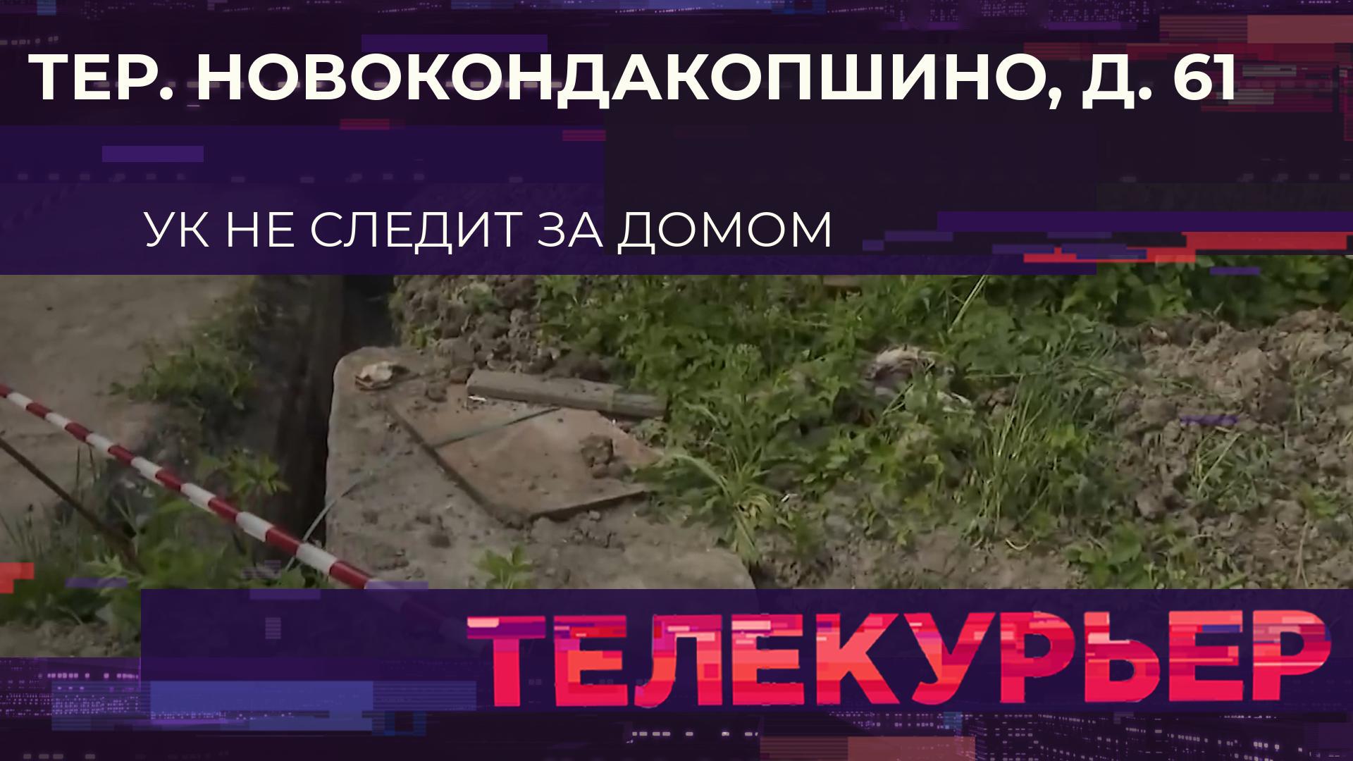 «Телекурьер» (5 июня 2025)