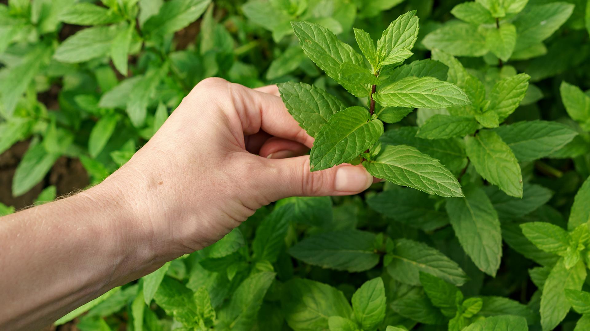 Фото: freepik.com/ArthurHidden