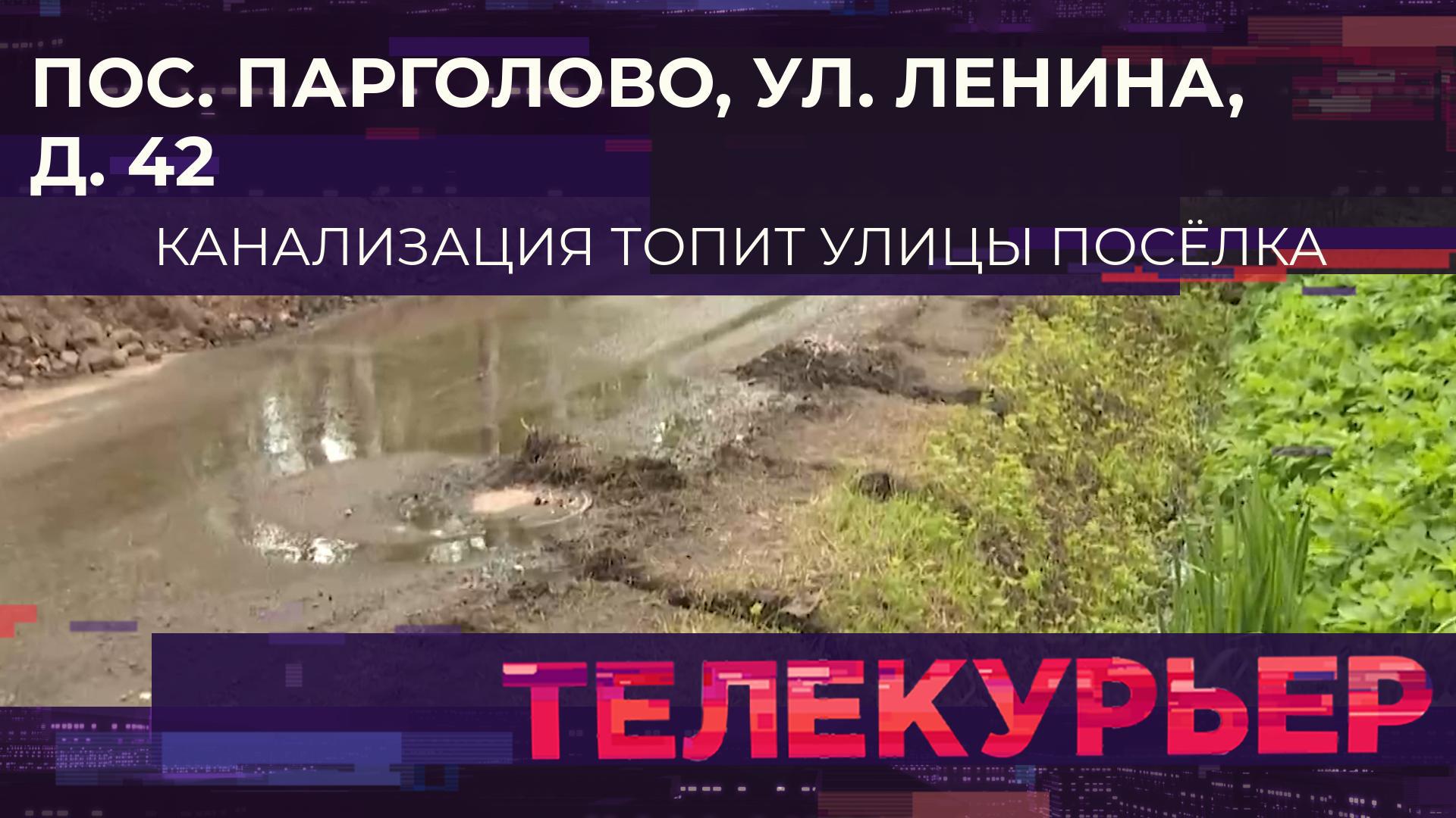 «Телекурьер» (6 июня 2025)