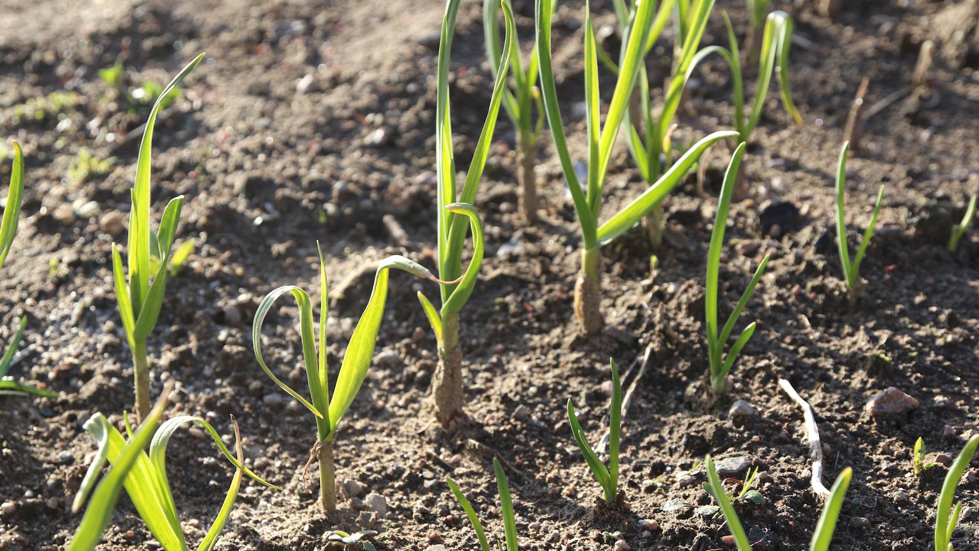 Фото: Maksim Konstantinov/globallookpress.com