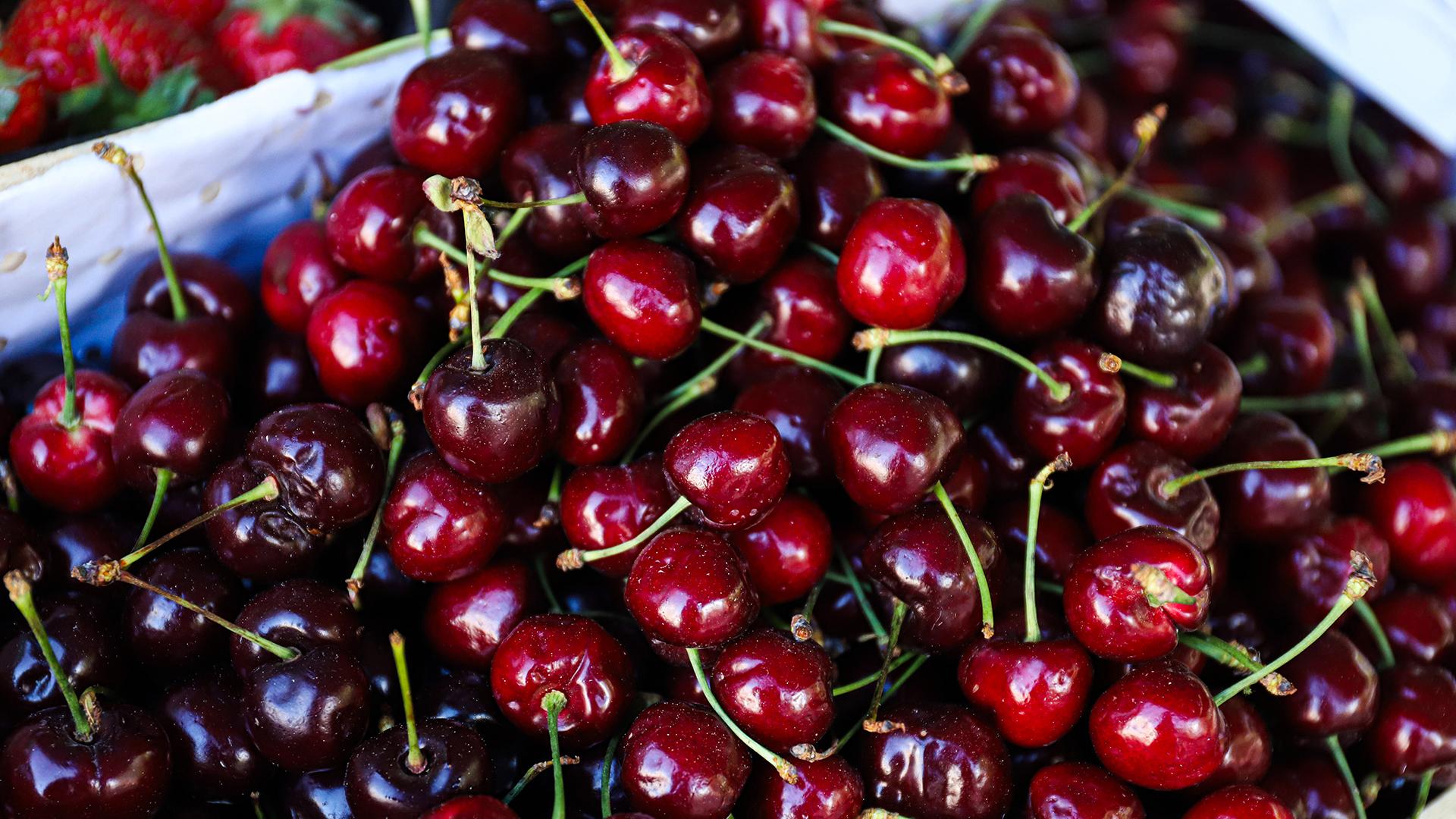 Фото: Razmik Zackaryan/globallookpress.com