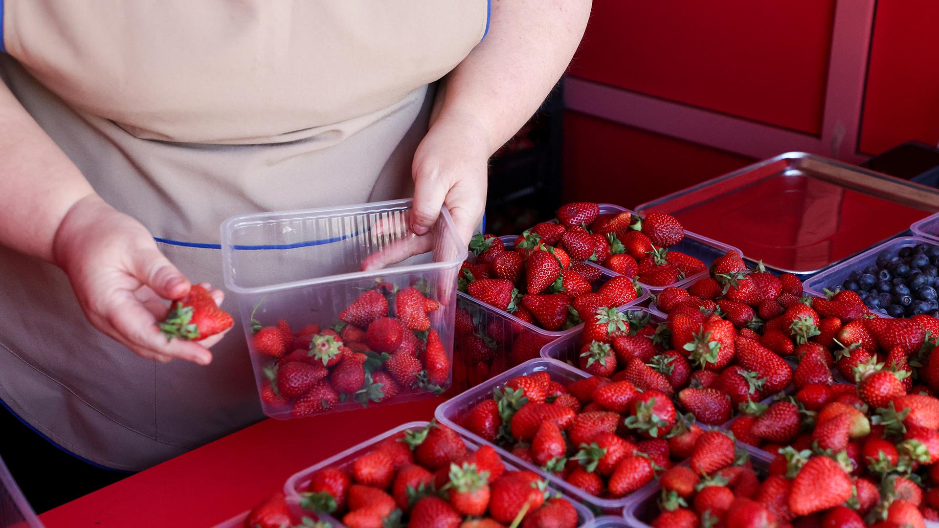 Фото: Belkin Alexey/globallookpress.com