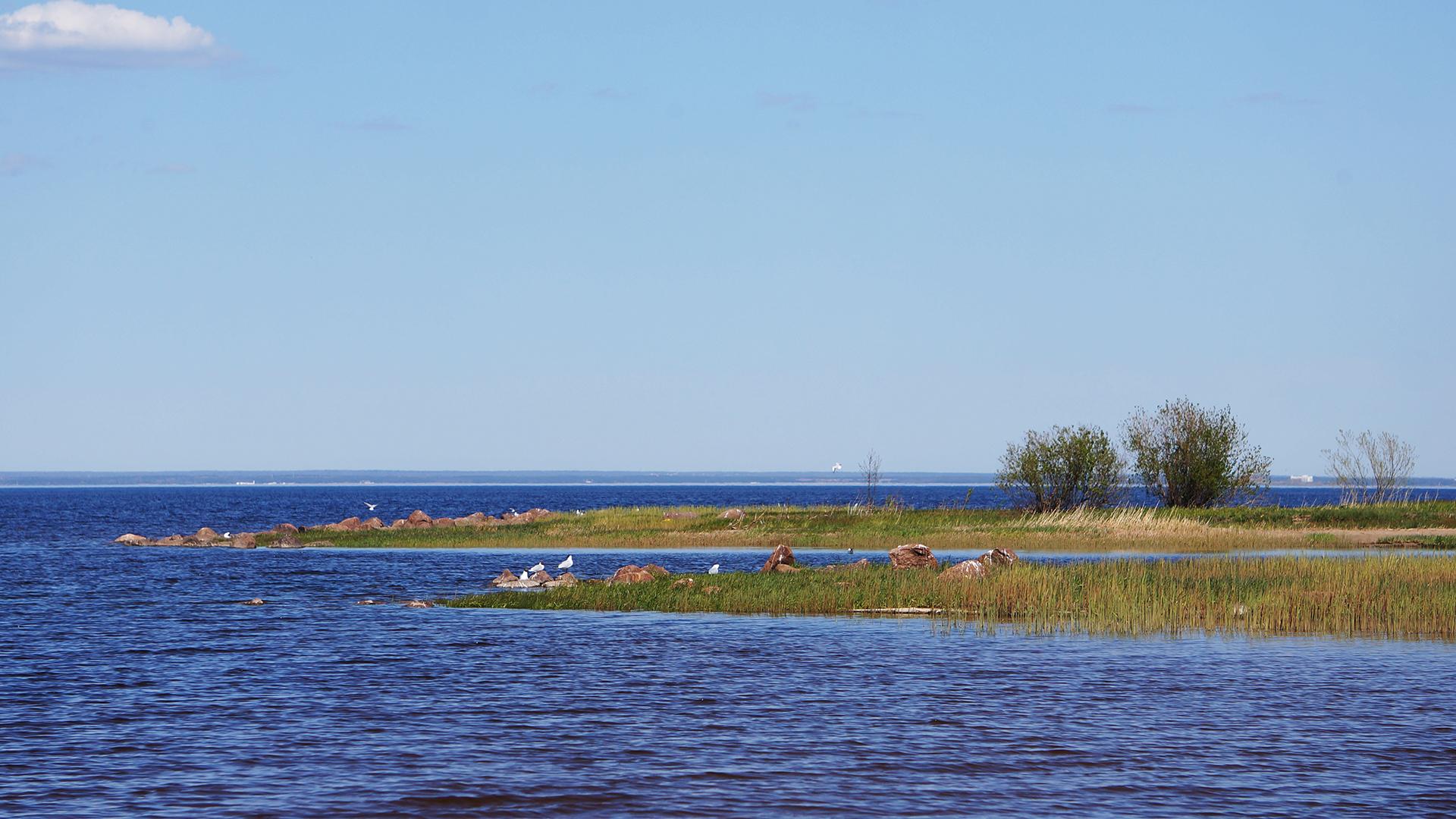 Фото: wikimedia.org/Eseyf; CC BY-SA 4.0