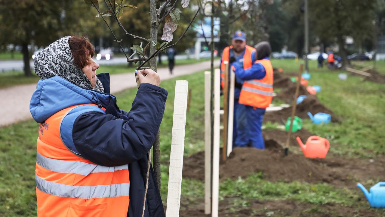 Фото: комитет по благоустройству Санкт-Петербурга
